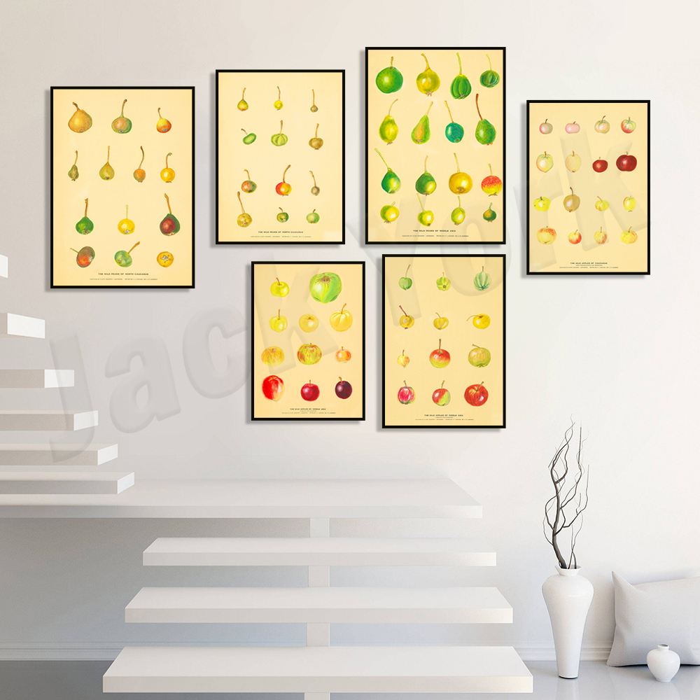 Plant Jackfruit - Fruit Kitchen Poster Vintage Poster Antique