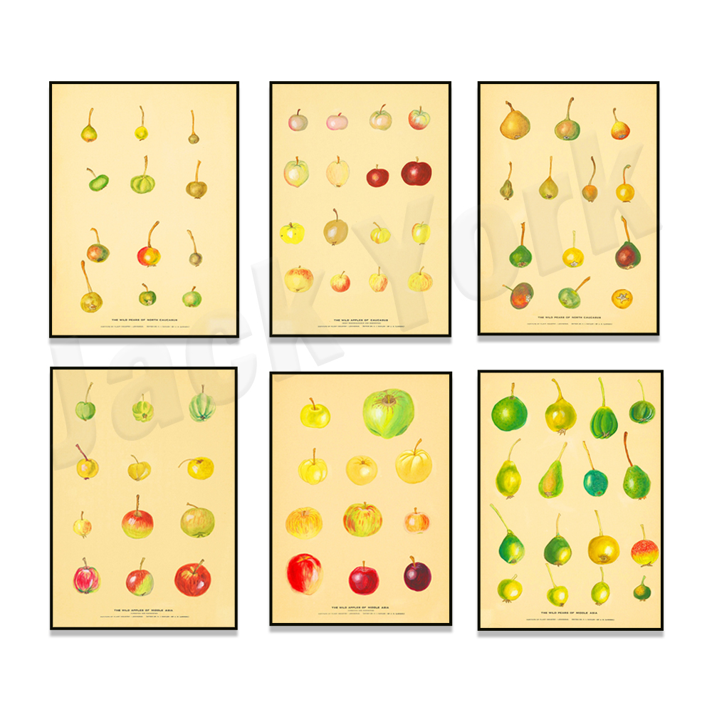 Fruit Kitchen Poster Vintage P – Plant Jackfruit Bewertung und Preis
