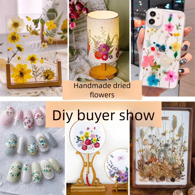 Mixed Dried Flowers, Pressed F – Plant Parent Free Bewertung und Preis