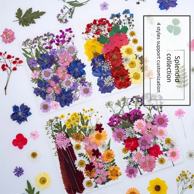 Mixed Dried Flowers, Pressed F – Plant Parent Free Bewertung und Preis
