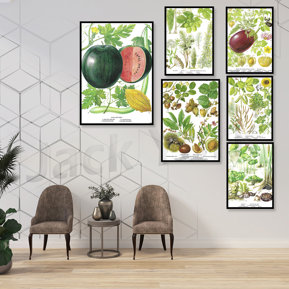 Aubergine, Egg Plant, Gooseber – Plant Jackfruit Bewertung und Preis