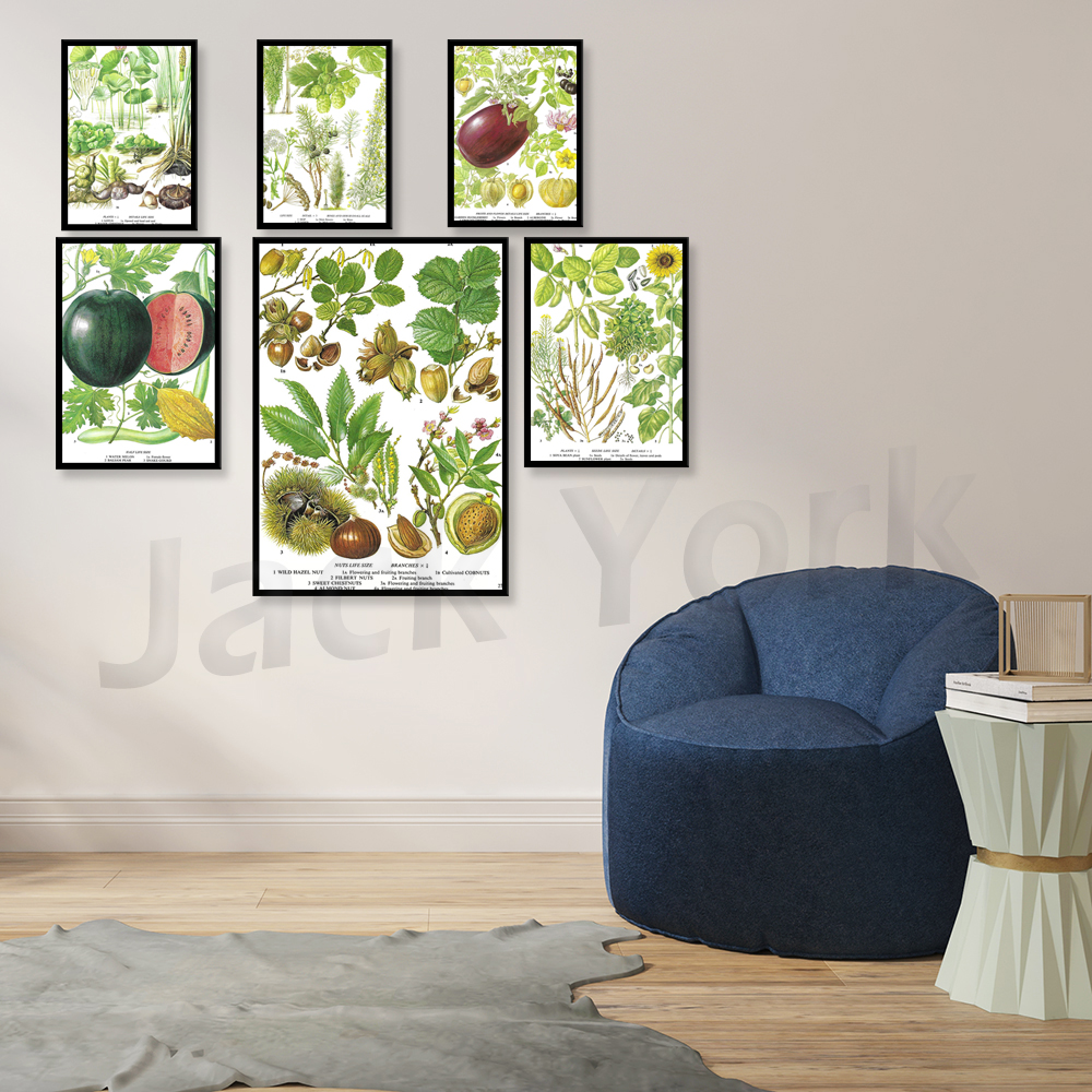 Aubergine, Egg Plant, Gooseber – Plant Jackfruit Bewertung und Preis